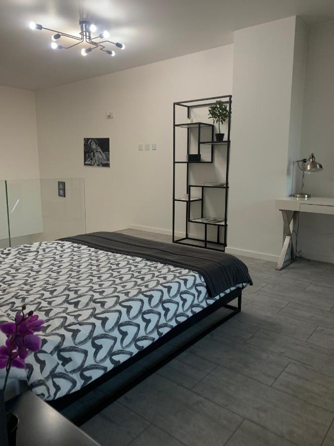 Ekskluzywny Penthouse Z Ogrodem W Centrum Lodzi Exterior photo